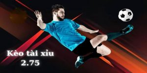 kèo tài xỉu 2.75 là gì