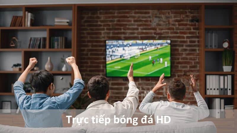 trực tiếp bóng đá hd